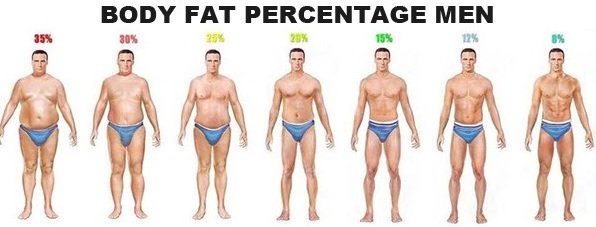 Six Pack Abs Diet body-fat-percentage-men