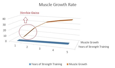 muscle-building-potential-newbie-gains-graph